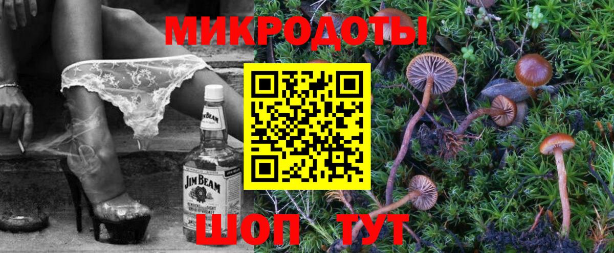 Галлюциногенные грибы Psilocybe Жуковский